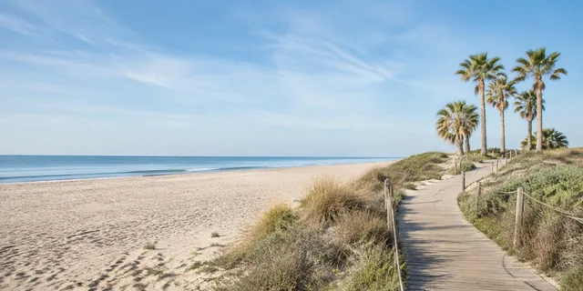 Open Mediterranean beach with a timber walkway and dune grasses