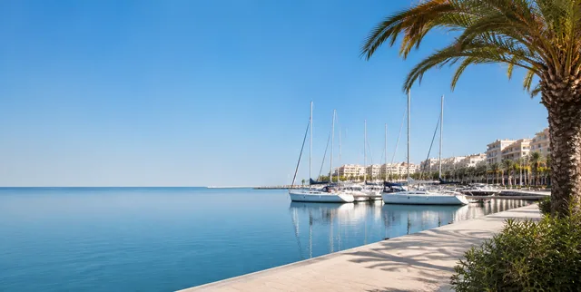 Calm Mediterranean marina with sailboats and palm trees